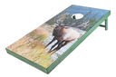 CB * Cornhole Boards w/Bags