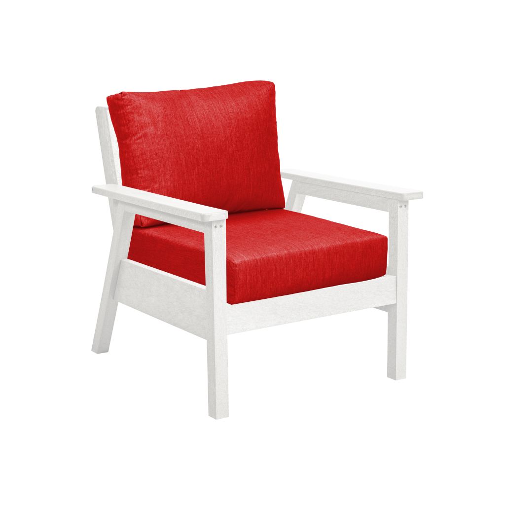 DSF281c * Arm Chair w/Cushion, Tofino Collection
