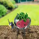 GW * Lounging Ladybug Planter