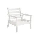 DSF281 * Arm Chair w/Cushion, Tofino Collection