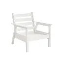DSF281 * Arm Chair w/Cushion, Tofino Collection