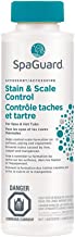 SpaGuard Stain and Scale Control (473 ml)