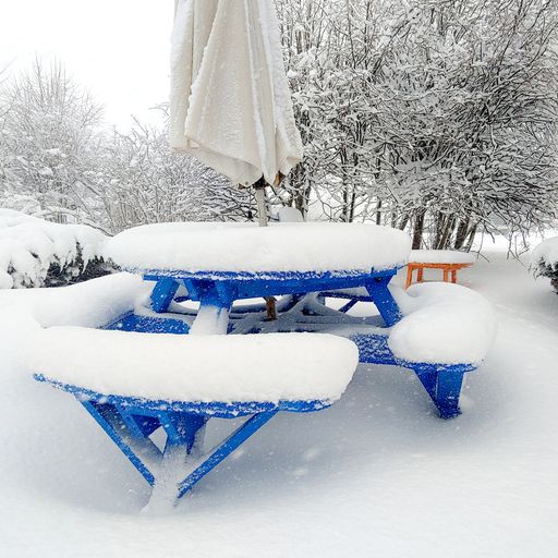 T50 * Picnic Table, Generation Line